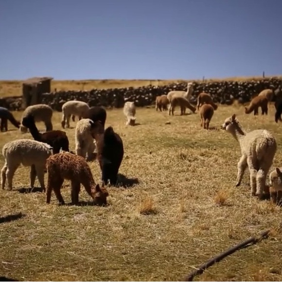 BEAUTIFUL NEW Peruvian HANDMAID ALPACA WOOL SWEATER (Cardigan). - Picture 2 of 16